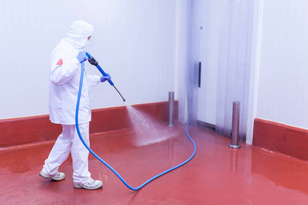 Best Parking Lot and Garage Cleaning  in Hector, MN